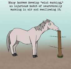 Sep 26, 2020 · animal trivia questions and answers. 30 Weird Animal Facts They Didn T Teach You In School Bored Panda
