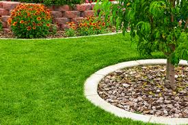 We did not find results for: Landscape Ideas Around Trees