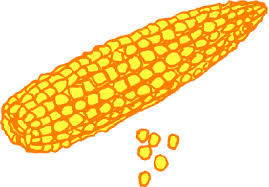 Download now vector gambar kartun perawat laki laki free png images. Jagung Gif Gambar Animasi Animasi Bergerak 100 Gratis