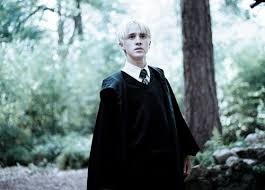 She was saved in the second task of the triwizard tournament by harry potter, whom her sister became good friends with.2 through fleur, she was the aunt of victoire, dominique and louis weasley. Draco Malfoy Imagines