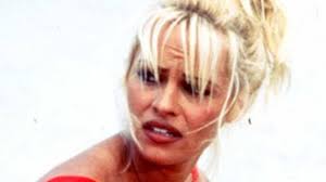 Questionable Things Everyone Just Ignores About Pamela Anderson