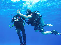 Diveheart Courses - Diveheart