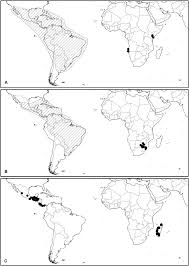 Image result for Paropsia brazzeana