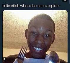 Hey If U Like This Pin Or Whateva Make Sure To Follow Me Pinningbysophia Bc I Have Like 0 Followers Thx Bye Ily Billie Eilish Billie Memes