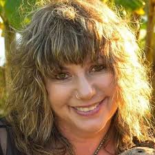 Amazon.com: High Vibrational Wellness: Intuitive Healing Therapies to  Nourish Your Body Temple eBook : Wulkan, Lainie Sevante: Tienda Kindle