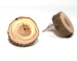 Ebony Wood Stud Earrings Wood Earrings Unisex Mens Stud Etsy In 2020 Wood Earrings Stud Wood Earrings Stud Earrings