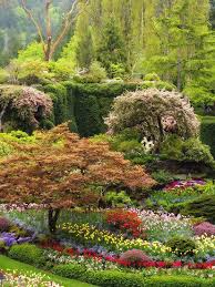 Eden By Rebecca Cruz Butchart Gardens Buchart Gardens Beautiful Gardens