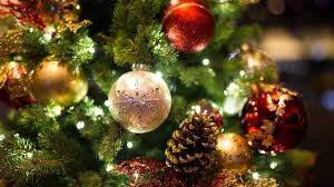 Why do we have Christmas trees? - BBC Newsround