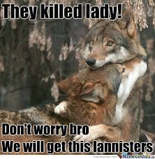 Maybe you would like to learn more about one of these? 20 Funny Wolves Meme Pictures Photos Picss Mine