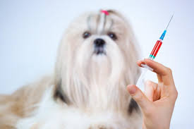 Check spelling or type a new query. Sharpen Up Your Pet Vaccine Know How Alberta Animal Health Source