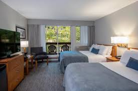 You can call at +1 604 932 4004 or find more contact information. Whistler Village Inn And Suites Pet Policy