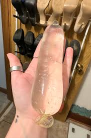 Frozen Cum Dildo Size 6-5 Inches