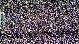 Seeing an image of an object, despite it not being there anymore (palinopsia) 4. Visual Snow Relief Youtube