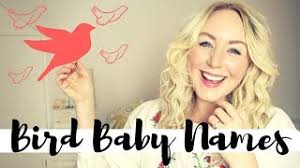 10 Bird Baby Names for girls and boys
