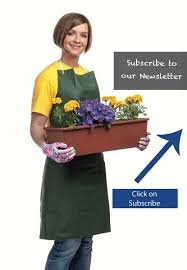 This business listing is provided by Perricone Garden Center Nursery Startseite Facebook