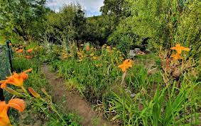 Nutzungsvertrag garten / kleingartenverein groningen e v groningen 1991 2000. Quo Vadis Veitshochheimer Heilkrauter Burgergarten Am Mainufer Gemeinde Kundigte Bestehenden Nutzungsvertrag Veitshochheim News