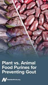 Pin On Plant Based Diets