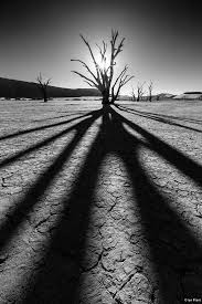 Wide angle photography can be fun and challenging at the same time. Wide Angle Lenses Photography Tips Outdoor Photographer