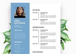 Choose a cv template from our collection of 224 professional designs in microsoft word format (with cv writing a simple, modern crisp cv template layout with sample information for an account manager. 60 Best Free Cv Templates Word 2020 Webthemez