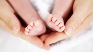 Nine Day Old Baby Dies Of Rat Bites In Bihar Icu Alleges Family Latest News India Hindustan Times