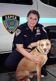 Special Investigator Diane Digiacomo, American Society For The Prevention  Of Cruelty To Animals Humane Law Enforcement, New York