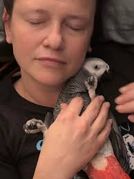 My precious girl turned 1 YEAR & a HALF ! 🥰 So proud of her! She is fierce  and laid 5 infertile ooths. Too bad I can't find a boy for her.  #parablephariskuhlii