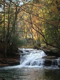 Kumbrabow state forest, valley head west virginia. Cabin Above Mill Creek Falls In Kumbrabow State Forest West Virginia Waterfalls State Forest State Parks
