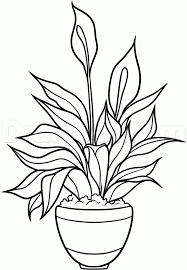 Here presented 64+ plant drawing for kids images for free to download, print or share. Flower Easy To Draw Plants Novocom Top