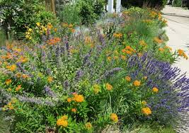 Check spelling or type a new query. More Than Just A Pollinator Garden Ecological Landscape Alliance