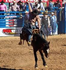 32 Best Bullriders Images In 2018 Bull Riders Bull Riding