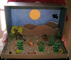 Desert Biome In A Box Diorama Mojave Desert Desert Crafts Desert Diorama Diorama Kids