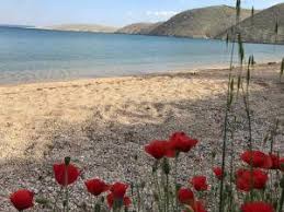 We did not find results for: Die 10 Besten Hotels In Vlasici Kroatien Ab 43
