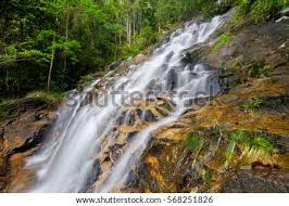 Flowing through the botanic gardens, it continues through youth park , past quarry drive , western gardens, jesselton heights and brooke. Shutterstock Puzzlepix
