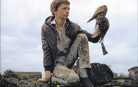 Ken loach, al igual que sus antecesores, denuncia los traumas que ocasiona en los seres humanos la vida en las ciudades industriales a pesar de los avances tecnológicos, y con sus historias sacude las conciencias de la sociedad contemporánea con el fin de mejorar sustancialmente las condiciones de la clase trabajadora (poniendo de ejemplo lo. Cult Movie Ken Loach S Kes One Of The Greatest British Films Ever Made The Irish News