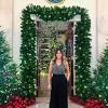 The white house christmas tree at the white house photograph: 3