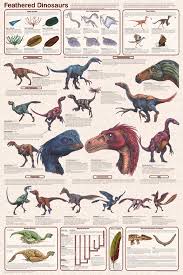 feathered dinosaurs educational poster