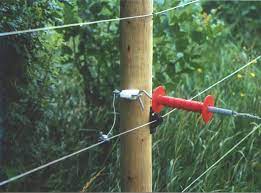 Fence wire conducts the electric charge from the fence charger around the length of the fence. Everything You Need To Know About Electric Fencing Manitoba Agriculture Province Of Manitoba