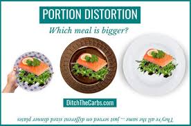 Portion Control What Does 30g Protein Look Like Charts