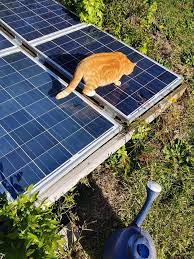 Pin By Bob Van Horne On Cats Roof Solar Panel Outdoor Decor Solar Panels