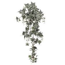 We did not find results for: Artificial Trailing Ivy Plants For Sale Online In Ireland Shop Now