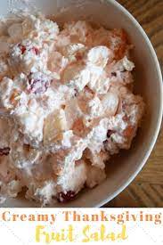 Best fruit salads thanksgiving from recipes for thanksgiving leftovers featuring a fantastic salad. Creamy Fruit Salad Recipe Thanksgiving Fruit Salad Aileen Cooks