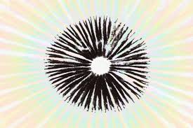 Maybe you would like to learn more about one of these? How To Make A Spore Print Doubleblind Mag