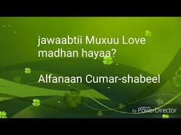 Choose from a curated selection of love photos. Download Waa Jawaabtii Muxuu Love Madhan Hayaa In Mp4 And 3gp Codedwap