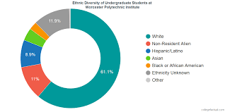 Worcester Polytechnic Institute Diversity Racial