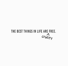 M O T D Cosmetics The Best Things In Life Are Cruelty Free Quotes To Live By Cruelty Free Quote Free Quotes Quotes To Live By