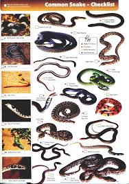 Check spelling or type a new query. Tinkers Moremi Game Reserve Tourist Map Hupe Verlag