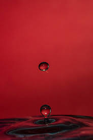 Download disney+ for android & read reviews. Free Wallpaper Drop Water Red Still Life Photography Liquid 328 Wallpaperuse