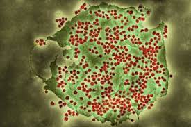 Behind The Headlines Counting Covid 19 Deaths Public Health Matters