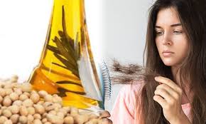Besides, soybean comes loaded with a bunch of nutrients including vitamins, minerals, and healthy fats that are essential for your hair. Benefits Of Soybean Oil For Hair Hair Care Fall Latest News Growth Tips Telugu O Telugustop