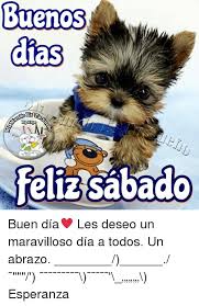 Espero que les guste y me ayuden a distribuir 😘. Buenos Dias Est Feliz Sabado Buen Dia Les Deseo Un Maravilloso Dia A Todos Un Abrazo Esperanza Meme On Me Me